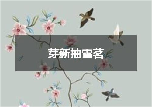 芽新抽雪茗