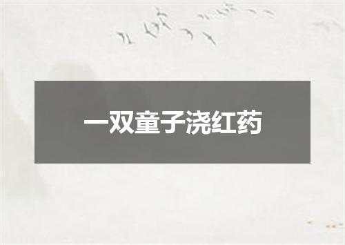 一双童子浇红药