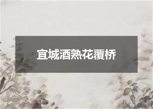 宜城酒熟花覆桥