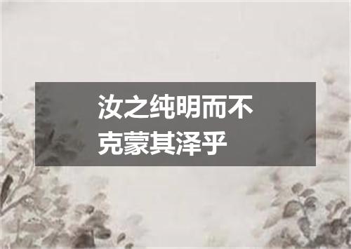 汝之纯明而不克蒙其泽乎