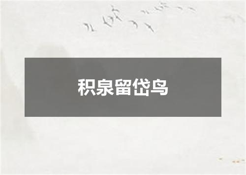 积泉留岱鸟