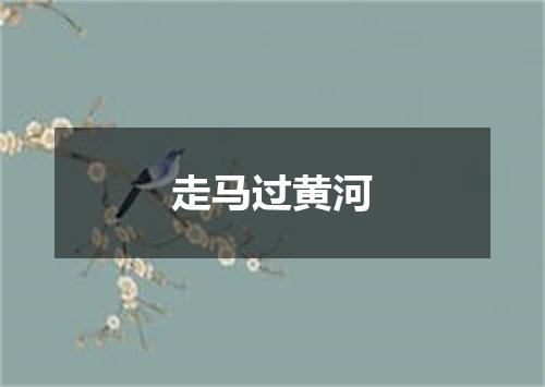 走马过黄河