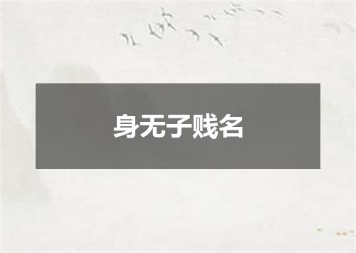 身无子贱名