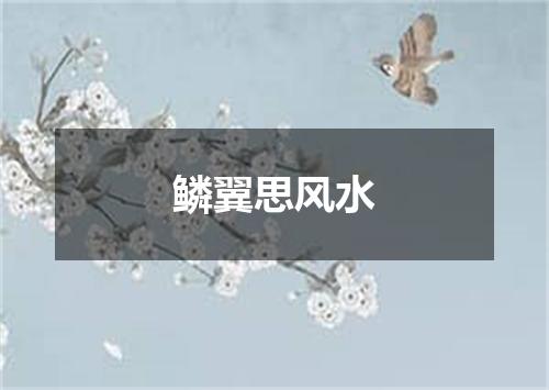 鳞翼思风水
