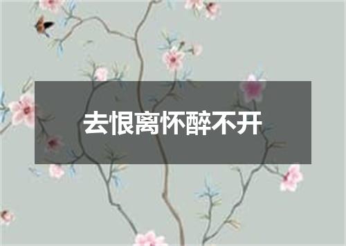 去恨离怀醉不开