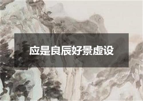 应是良辰好景虚设