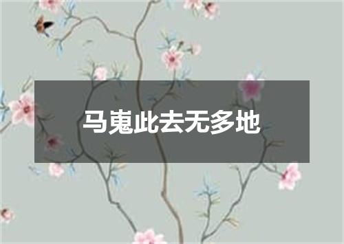 马嵬此去无多地