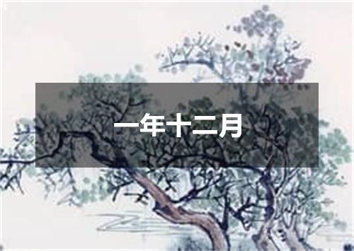 一年十二月