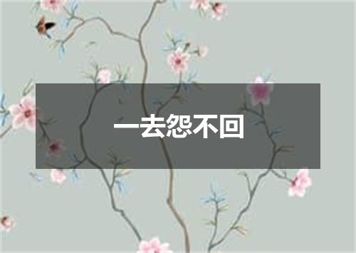 一去怨不回