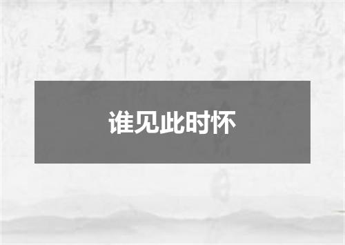 谁见此时怀
