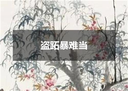 盗跖暴难当