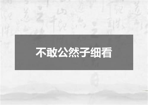 不敢公然子细看