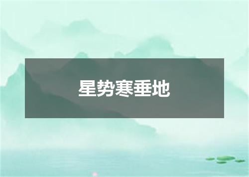 星势寒垂地