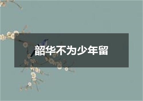 韶华不为少年留