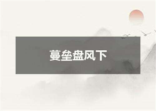 蔓垒盘风下