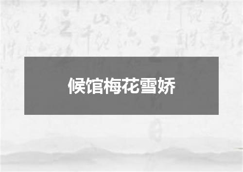 候馆梅花雪娇