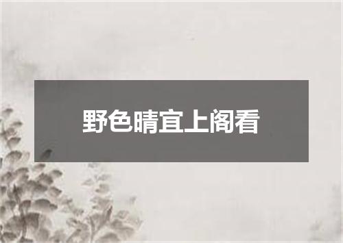 野色晴宜上阁看
