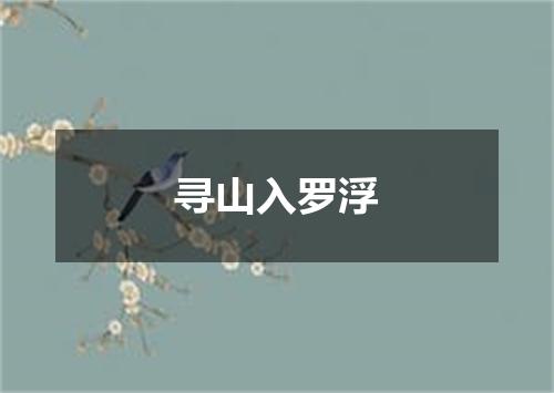 寻山入罗浮