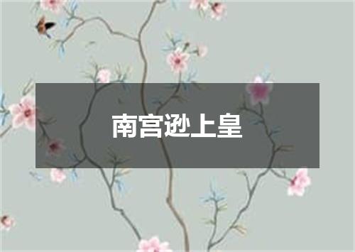 南宫逊上皇
