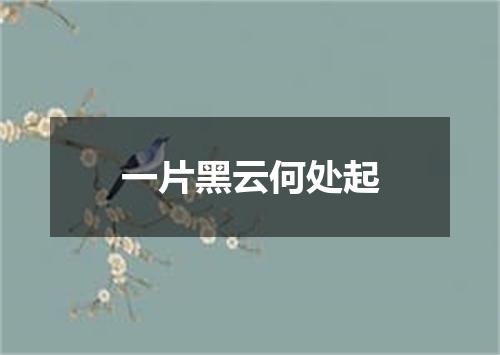 一片黑云何处起
