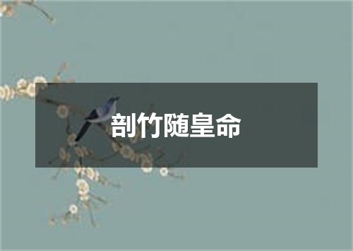 剖竹随皇命