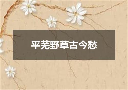 平芜野草古今愁