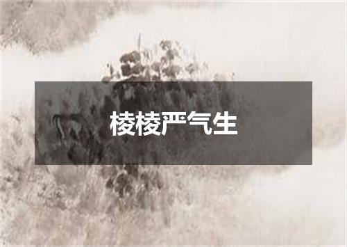 棱棱严气生
