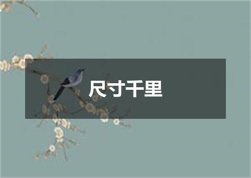 尺寸千里