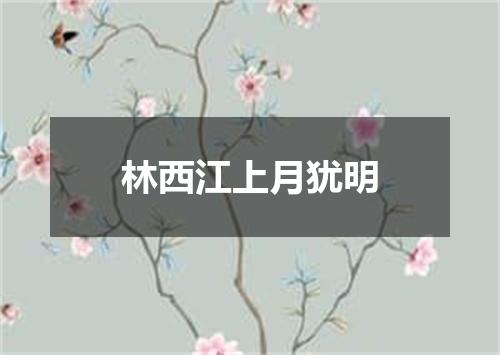 林西江上月犹明