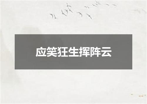 应笑狂生挥阵云