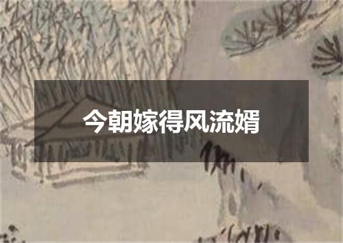 今朝嫁得风流婿
