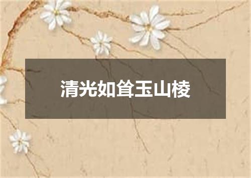 清光如耸玉山棱
