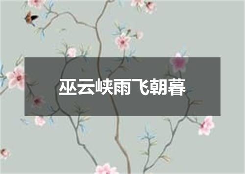 巫云峡雨飞朝暮