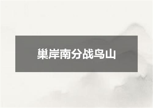 巢岸南分战鸟山