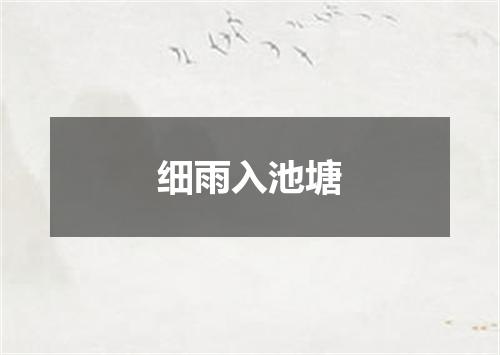 细雨入池塘
