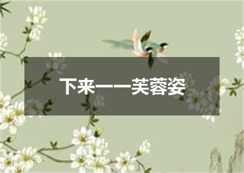 下来一一芙蓉姿