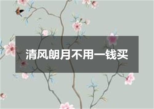 清风朗月不用一钱买