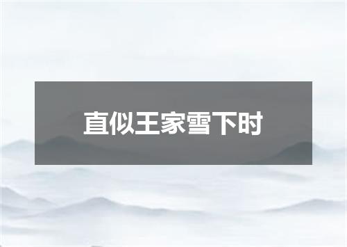直似王家雪下时