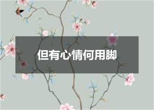 但有心情何用脚