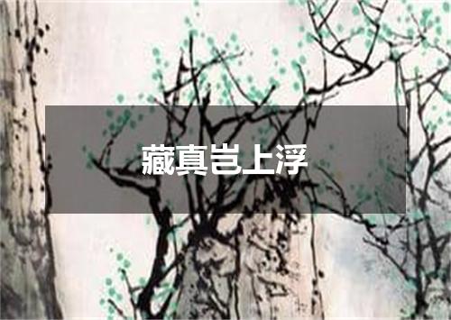 藏真岂上浮