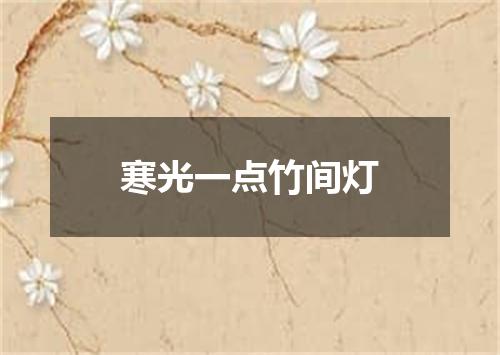 寒光一点竹间灯