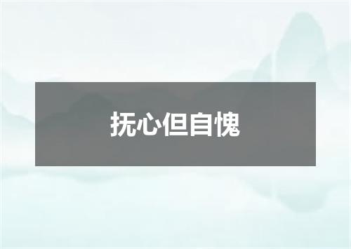 抚心但自愧