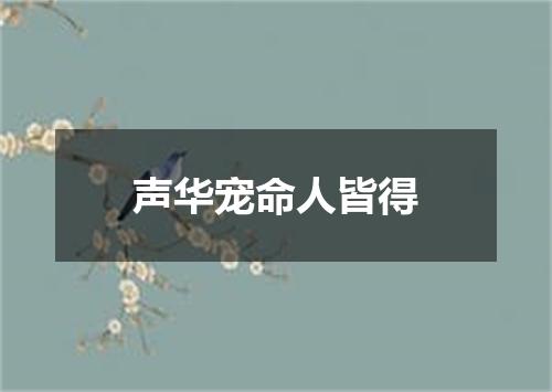 声华宠命人皆得