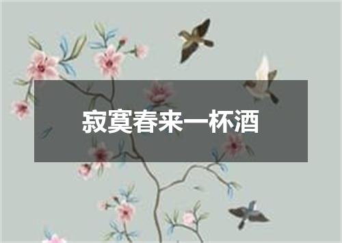 寂寞春来一杯酒