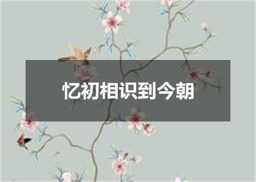 忆初相识到今朝