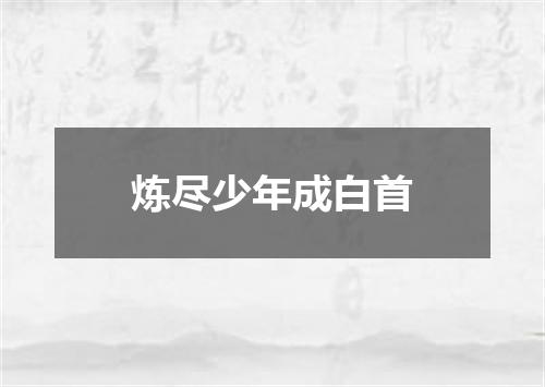 炼尽少年成白首