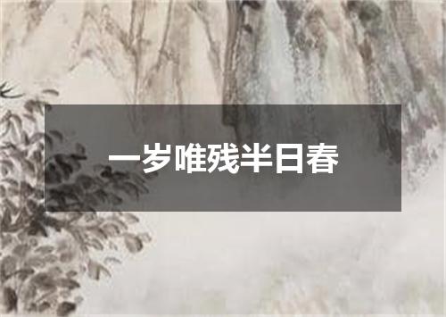 一岁唯残半日春