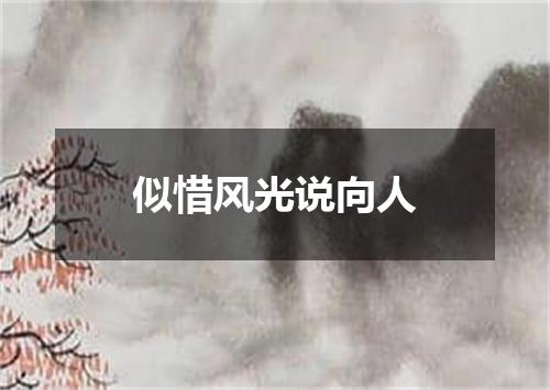 似惜风光说向人
