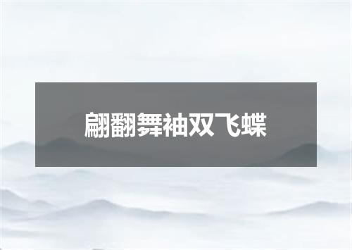 翩翻舞袖双飞蝶