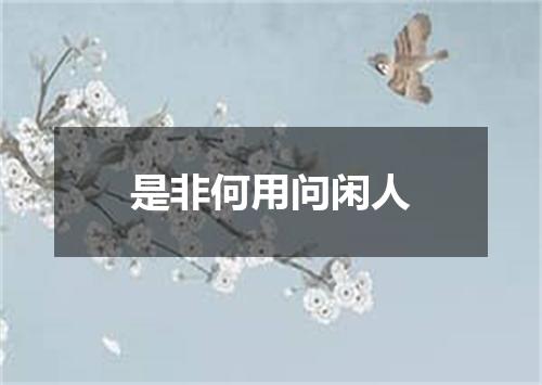 是非何用问闲人